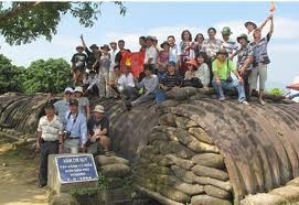 Les anciens champs de bataille: nouvelle attraction touristique - ảnh 1